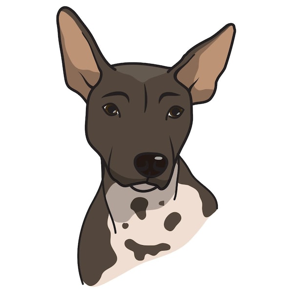 Signmission American Hairless Terrier Dog Decal, Dog Lover Decor Vinyl Sticker D-12-American Hairless Terrier - main